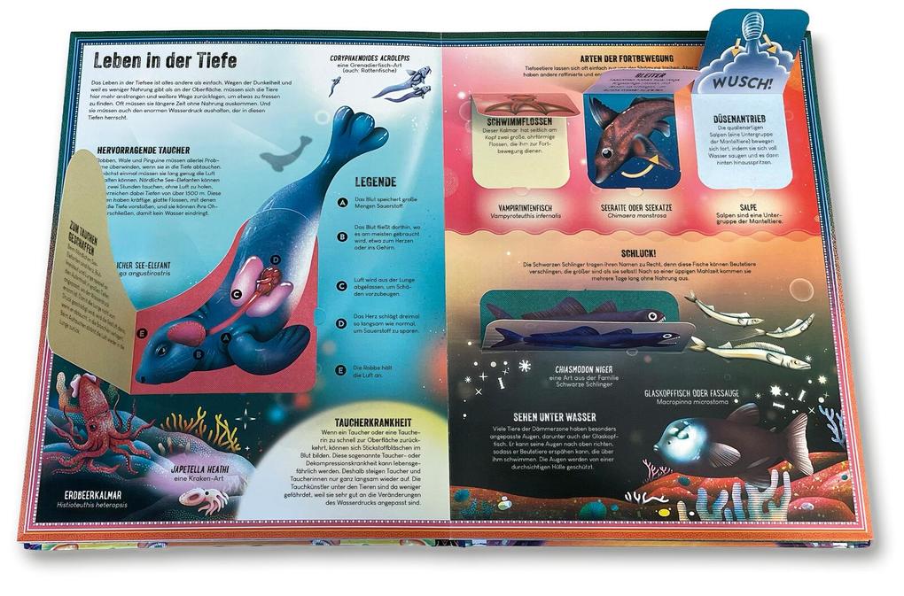Weitere Ansicht: Das unglaubliche Pop-up-Buch - Tiefsee | Ben Hoare