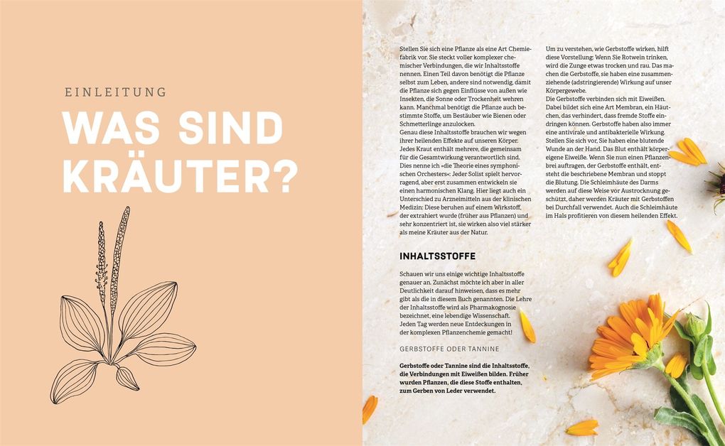 Weitere Ansicht: Das kleine Handbuch der Kräuterapotheke | Martine van Huffel