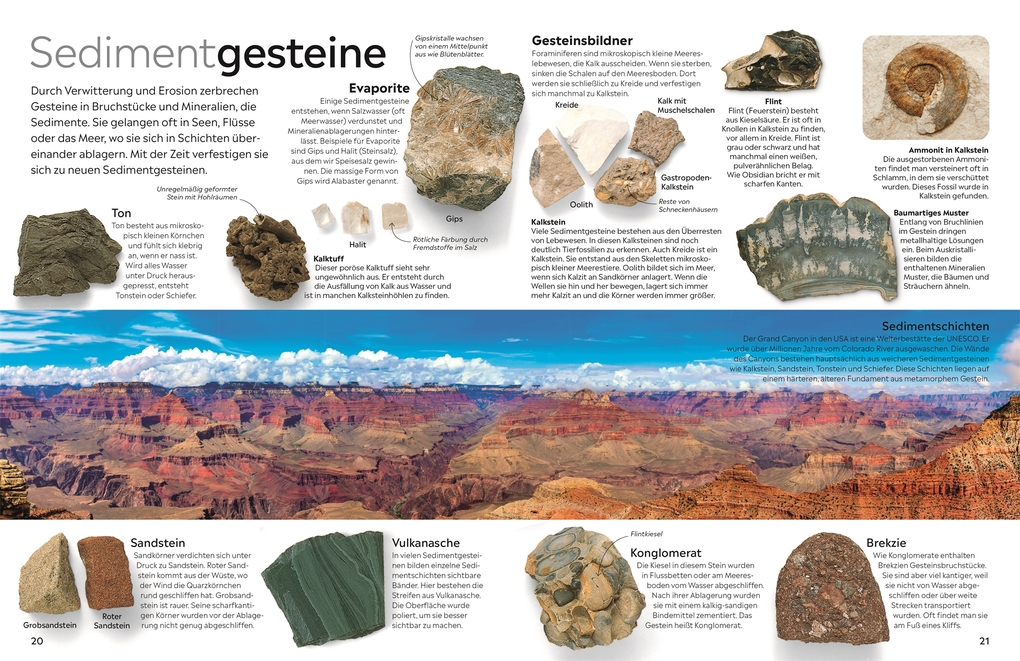 Weitere Ansicht: memo Wissen. Steine und Mineralien | R. F. Symes