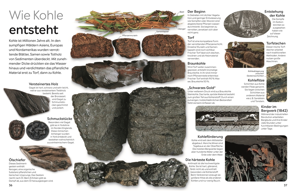 Weitere Ansicht: memo Wissen. Steine und Mineralien | R. F. Symes