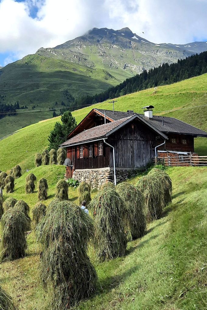 Weitere Ansicht: Alpine Vitalküche | Karin Hofinger
