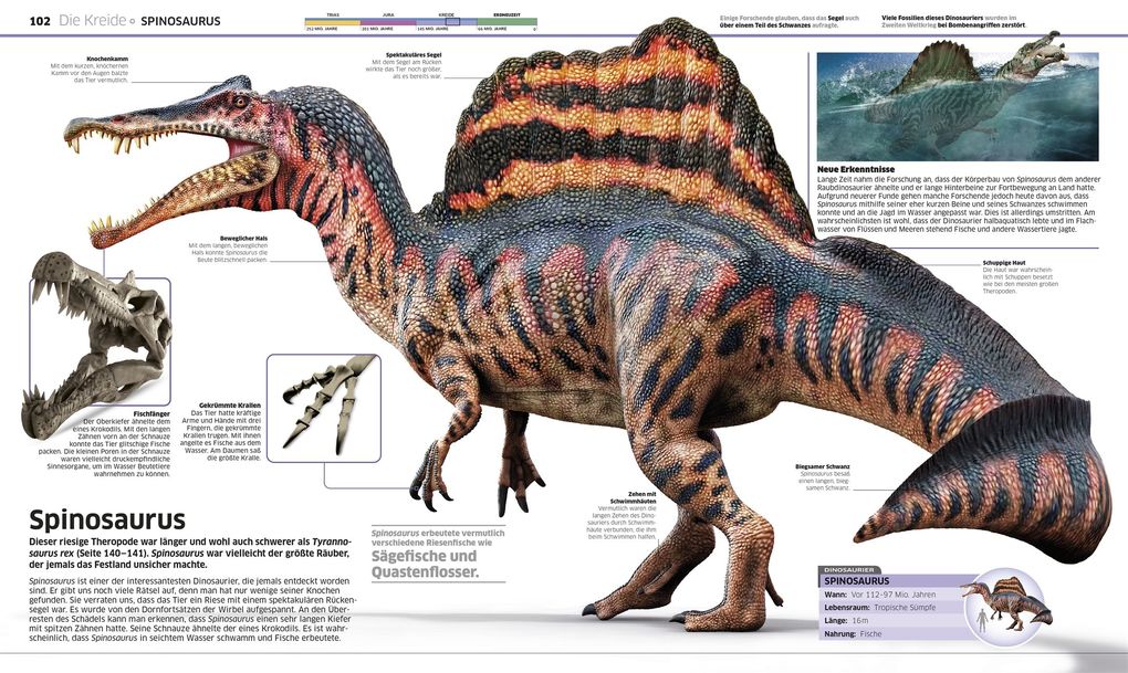 Weitere Ansicht: DK Wissen. Dinosaurier | John Woodward