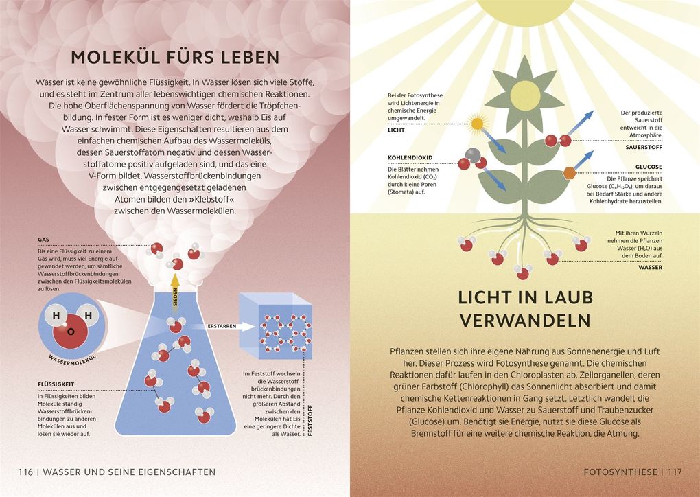 Weitere Ansicht: Simply Chemie | Andy Extance, Victoria Atkinson, Kat Day, Rebecca Mileham