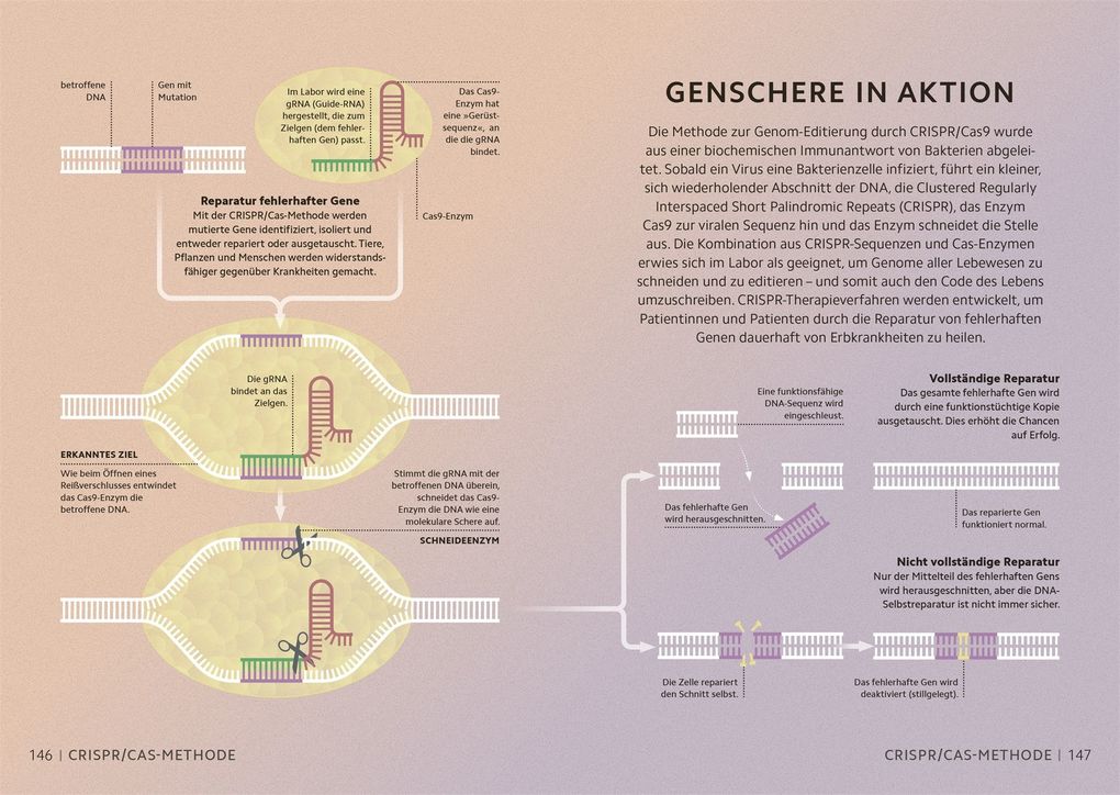 Weitere Ansicht: Simply Chemie | Andy Extance, Victoria Atkinson, Kat Day, Rebecca Mileham
