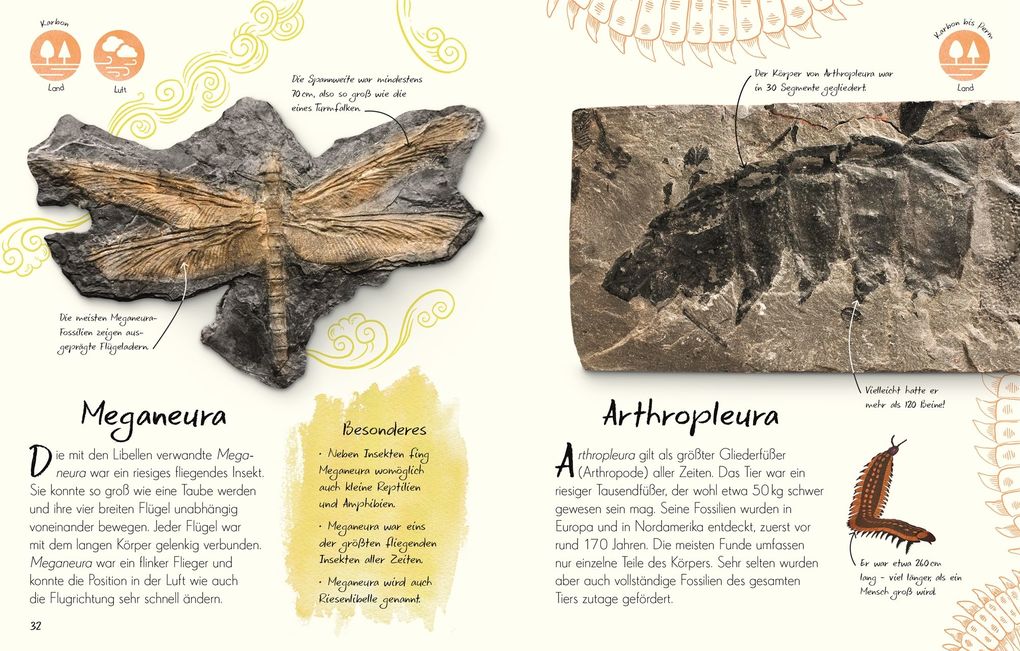 Weitere Ansicht: Wundervolle Welt - Kleine Schätze. Fossilien | Dean Lomax