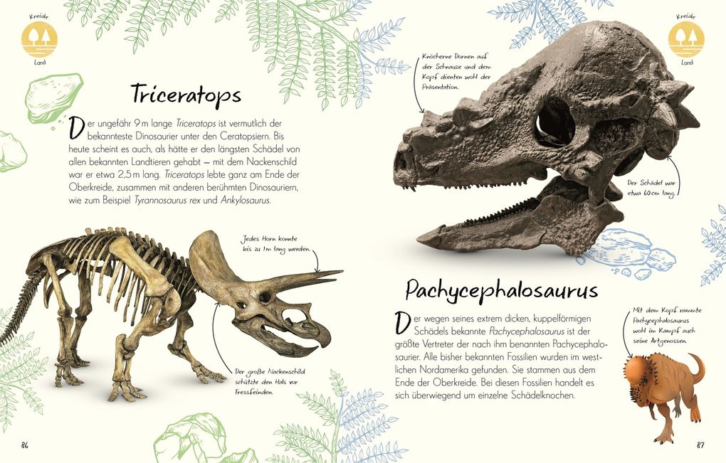 Weitere Ansicht: Wundervolle Welt - Kleine Schätze. Fossilien | Dean Lomax