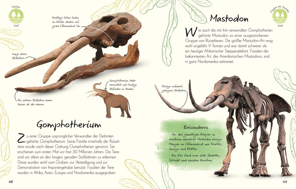 Weitere Ansicht: Wundervolle Welt - Kleine Schätze. Fossilien | Dean Lomax