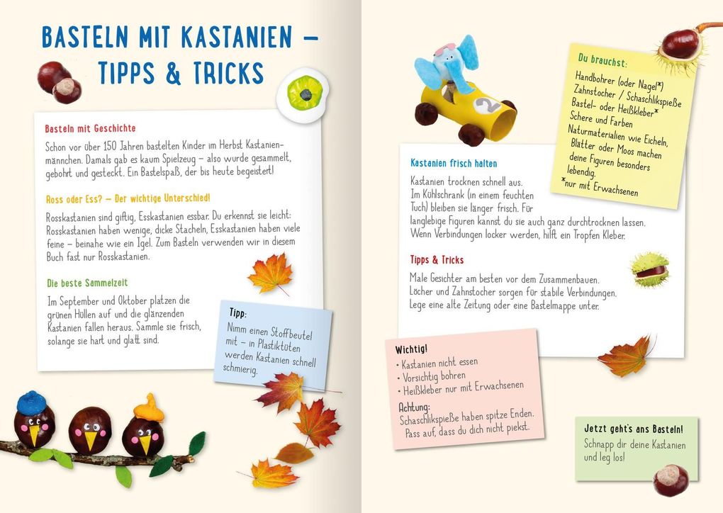 Weitere Ansicht: Mein Kastanien-Bastelbuch | Pia Deges