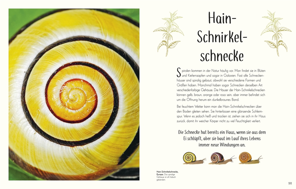Weitere Ansicht: Wundervolle Welt der Insekten und Spinnentiere | Jess French