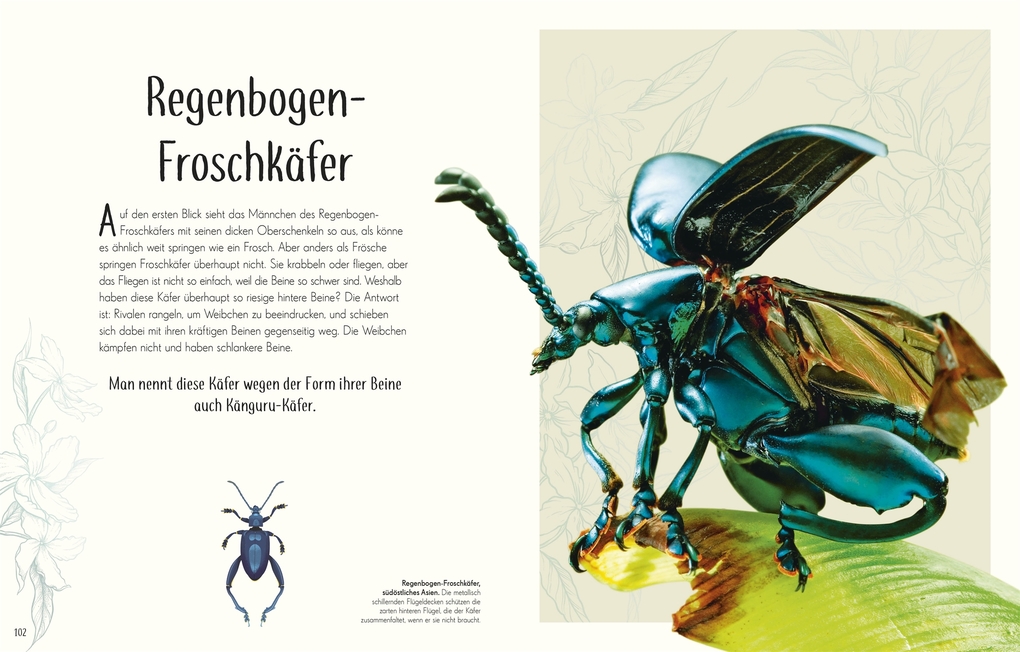 Weitere Ansicht: Wundervolle Welt der Insekten und Spinnentiere | Jess French