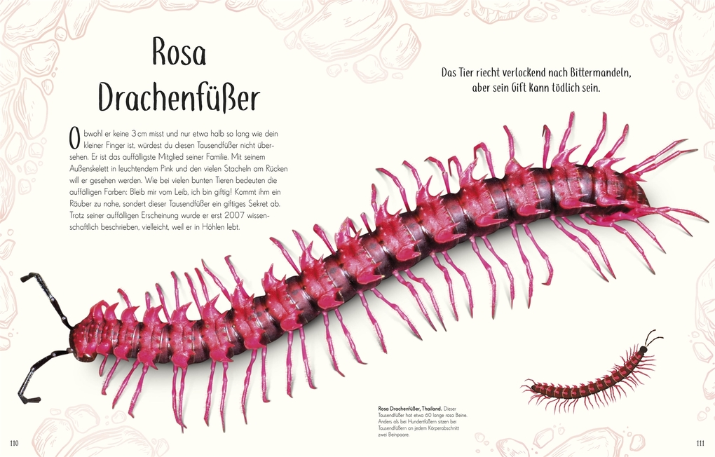 Weitere Ansicht: Wundervolle Welt der Insekten und Spinnentiere | Jess French