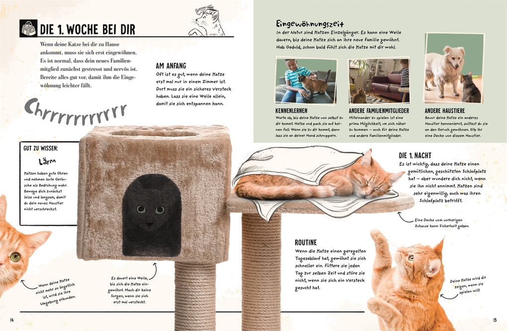 Weitere Ansicht: Meine Katze | Jess French