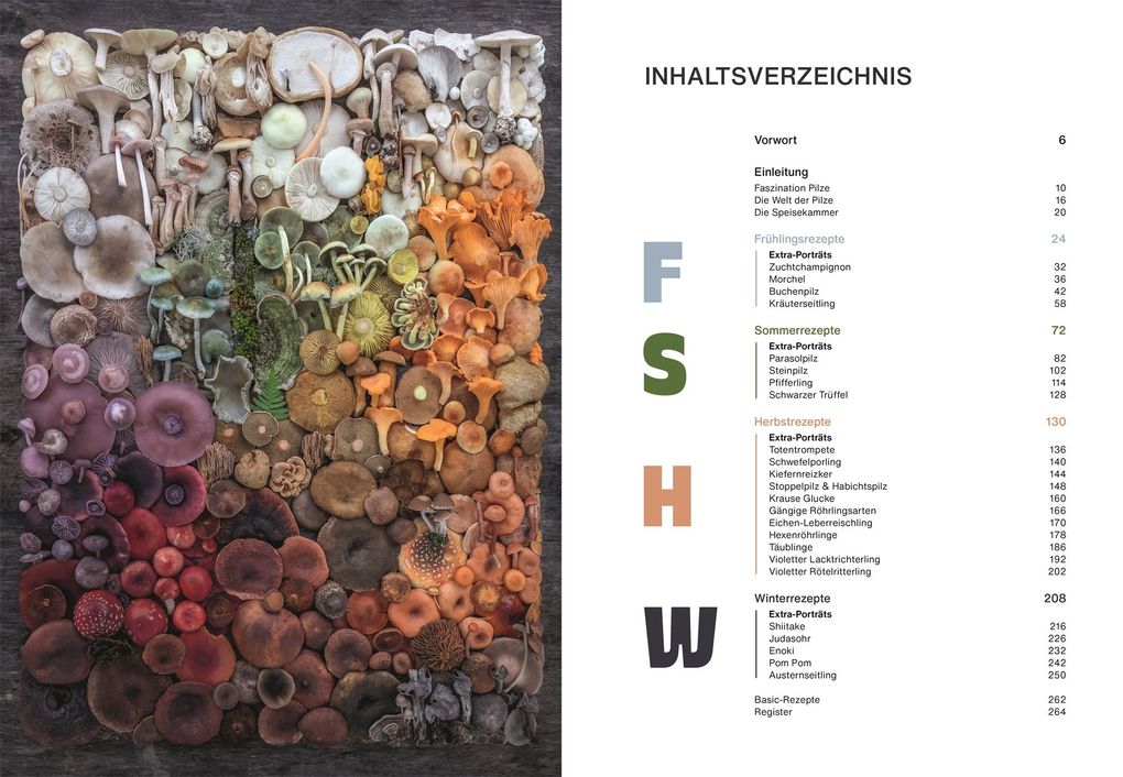 Weitere Ansicht: Pilze, Pilze, Pilze | Moritz Schmid