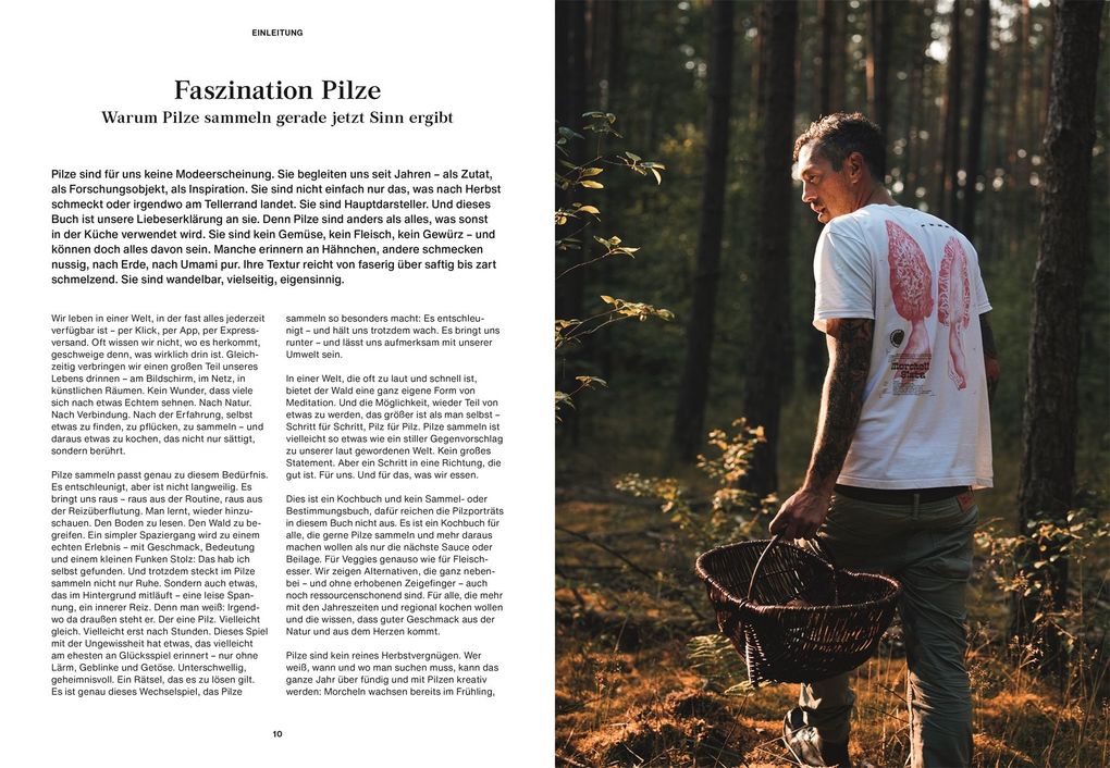 Weitere Ansicht: Pilze, Pilze, Pilze | Moritz Schmid