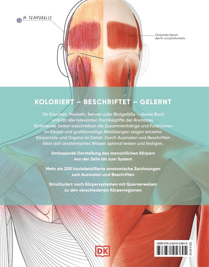 Weitere Ansicht: Menschlicher Körper | Susan Standring