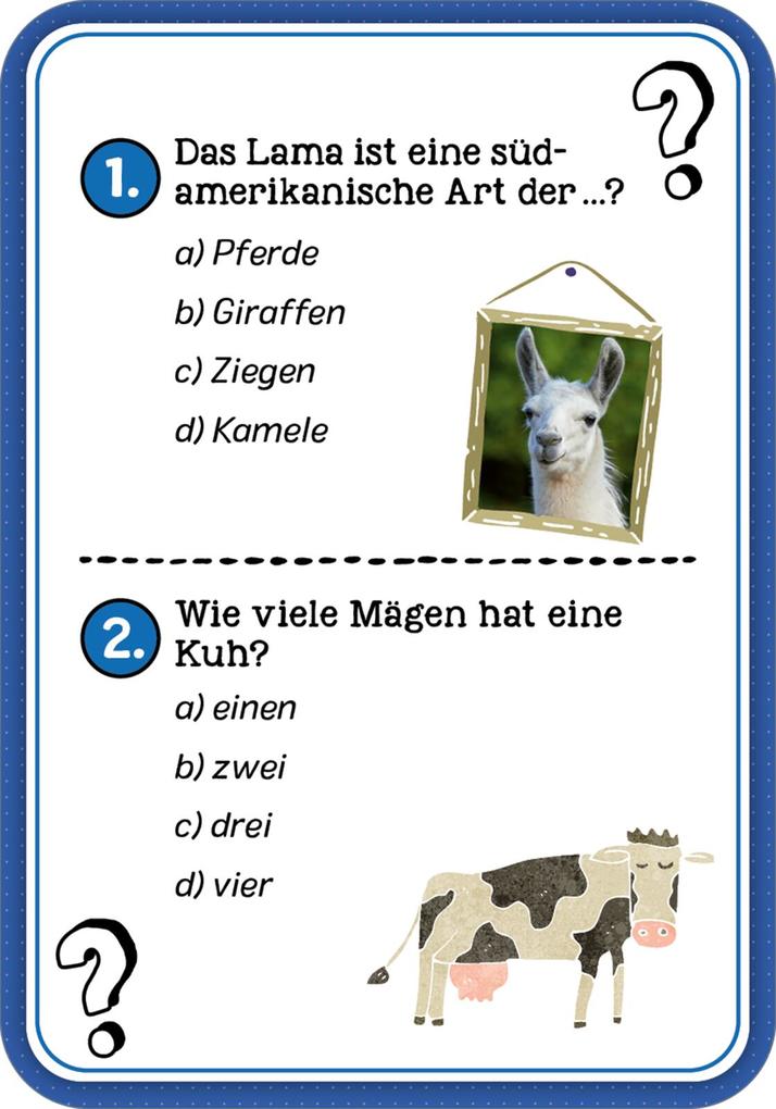 Weitere Ansicht: Das Wissens-Quiz | Philip Kiefer