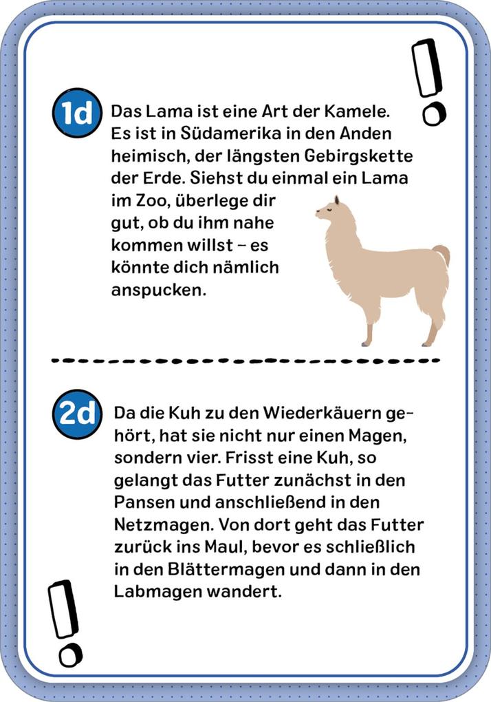 Weitere Ansicht: Das Wissens-Quiz | Philip Kiefer