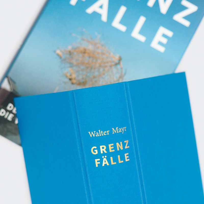 Weitere Ansicht: Grenzfälle | Walter Mayr