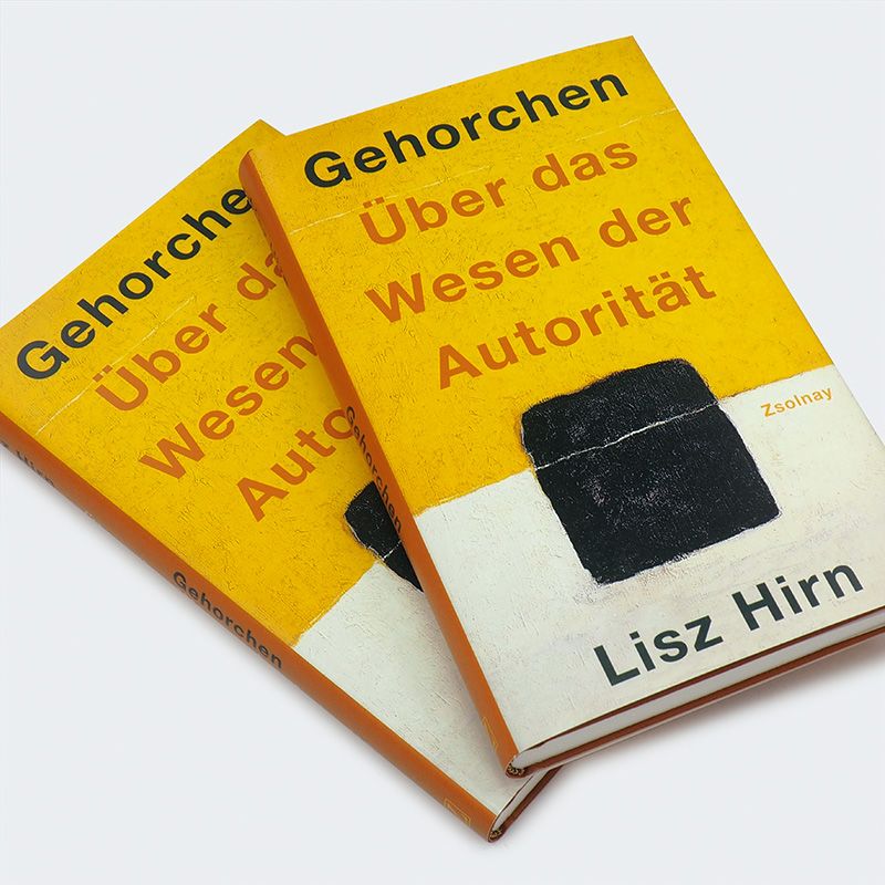 Weitere Ansicht: Gehorchen | Lisz Hirn