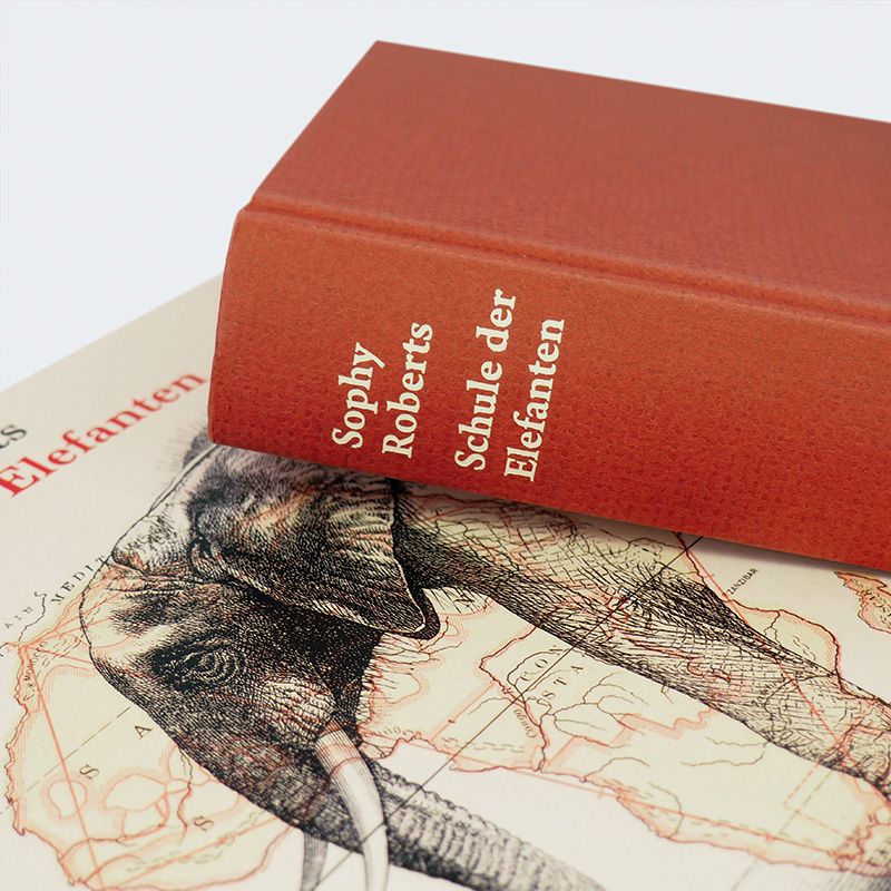 Weitere Ansicht: Schule der Elefanten | Sophy Roberts