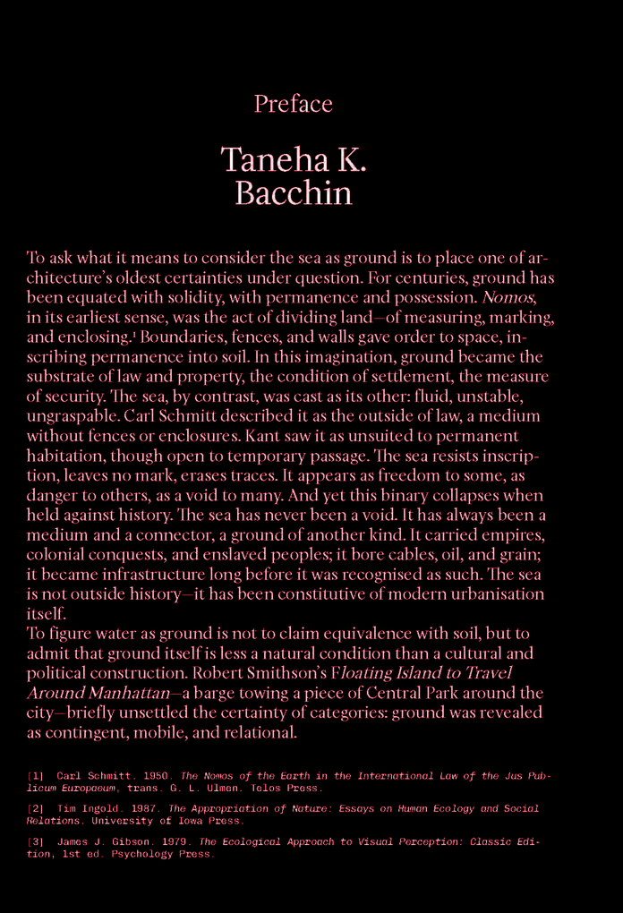 Weitere Ansicht: The Ocean as Ground | Matteo Vianello