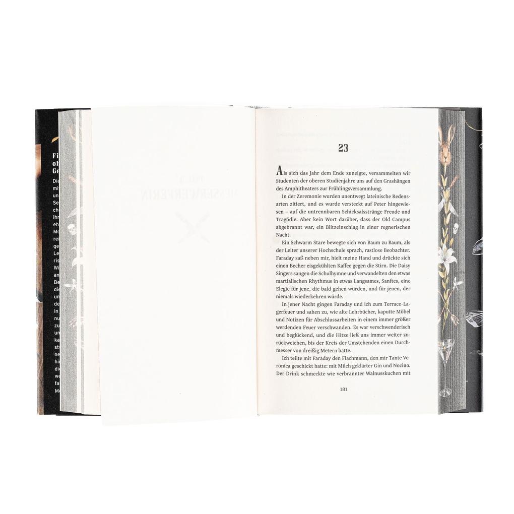 Weitere Ansicht: Die Mortons | Scott Westerfeld, Justine Larbalestier
