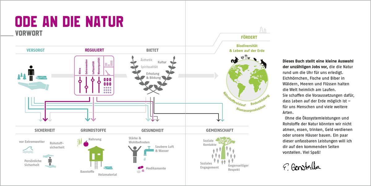 Weitere Ansicht: Naturtalente | Esther Gonstalla