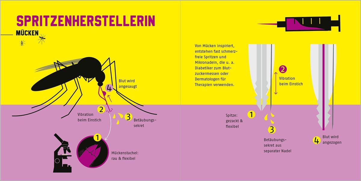 Weitere Ansicht: Naturtalente | Esther Gonstalla