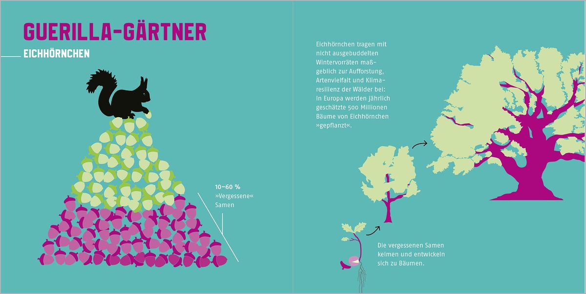 Weitere Ansicht: Naturtalente | Esther Gonstalla