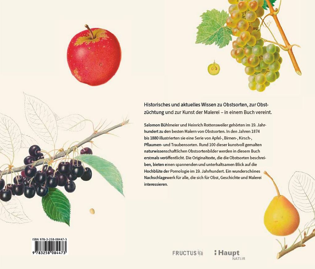 Weitere Ansicht: Von edlem, süßweinartigem Zuckergeschmacke | Beatrice Gut, Jakob Schierscher