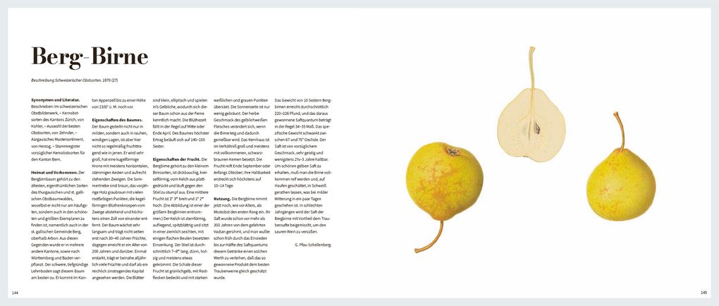 Weitere Ansicht: Von edlem, süßweinartigem Zuckergeschmacke | Beatrice Gut, Jakob Schierscher