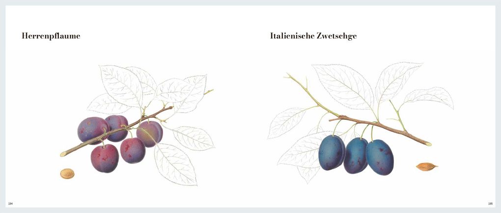 Weitere Ansicht: Von edlem, süßweinartigem Zuckergeschmacke | Beatrice Gut, Jakob Schierscher