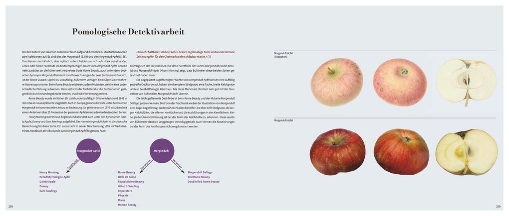 Weitere Ansicht: Von edlem, süßweinartigem Zuckergeschmacke | Beatrice Gut, Jakob Schierscher