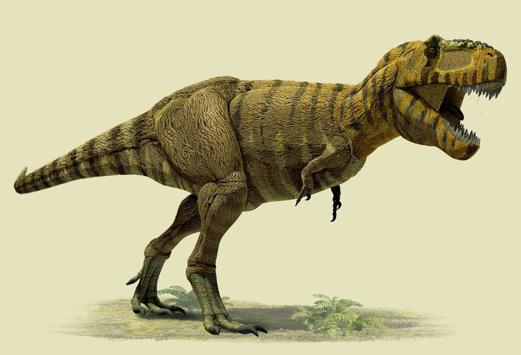 Weitere Ansicht: Konturenpuzzle T-Rex