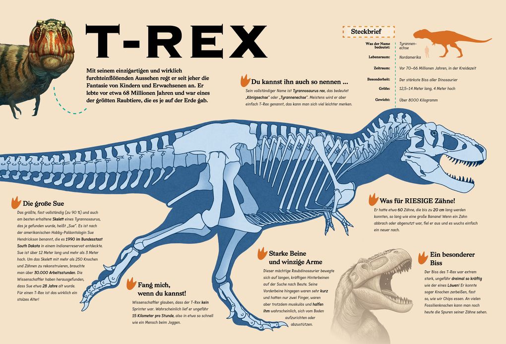 Weitere Ansicht: Konturenpuzzle T-Rex