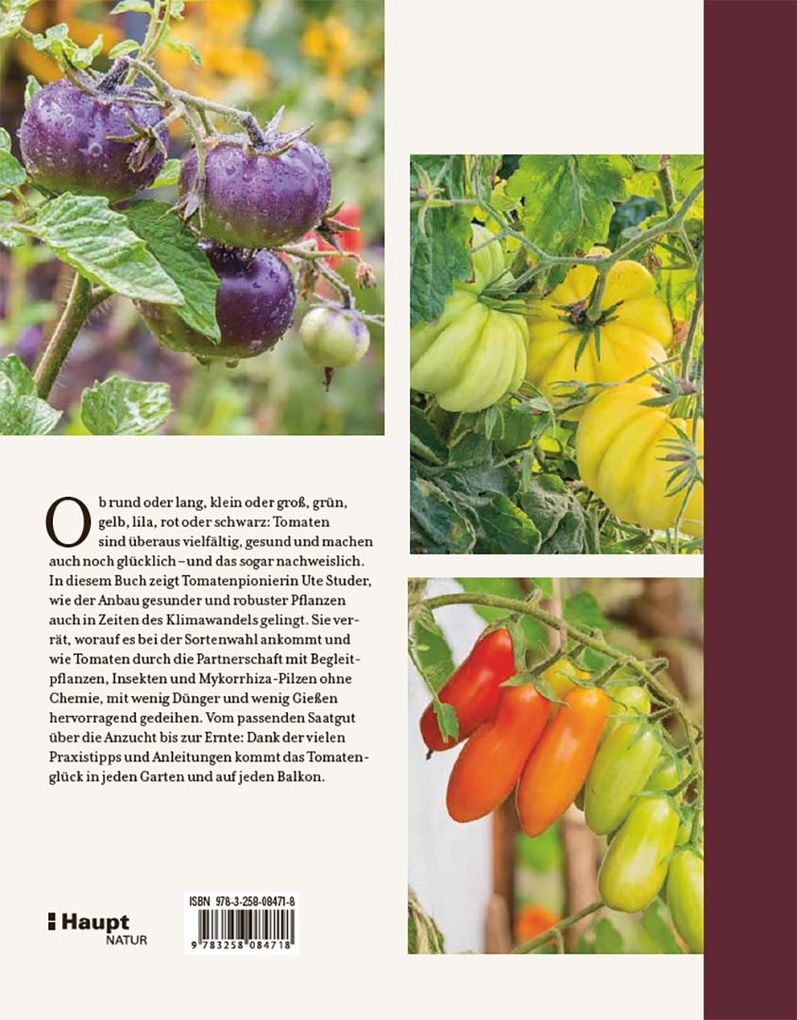 Weitere Ansicht: Tomatenglück | Ute Studer