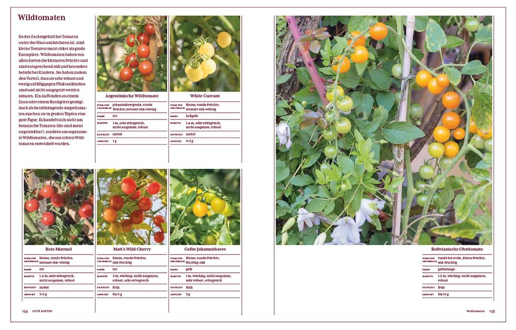 Weitere Ansicht: Tomatenglück | Ute Studer
