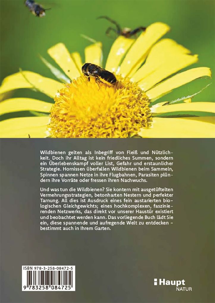 Weitere Ansicht: Wildbienen haben es auch nicht leicht | Jörg Schneider
