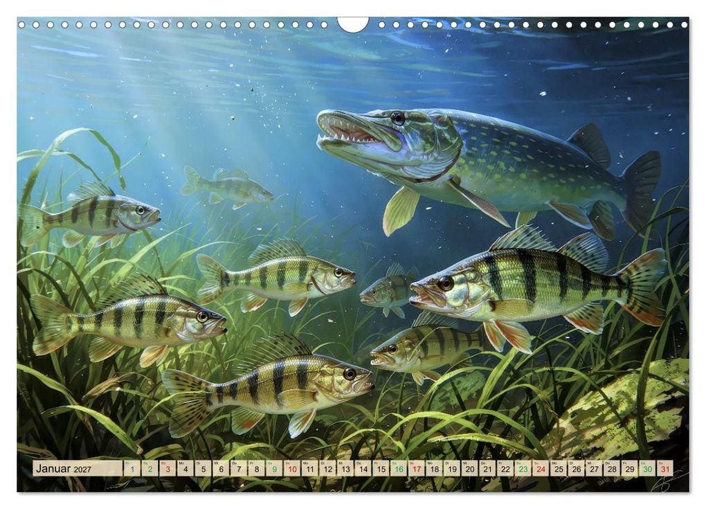 Weitere Ansicht: Barsche im See (Wandkalender 2027 DIN A3 quer), CALVENDO Monatskalender | Calvendo, Torsten Irmer