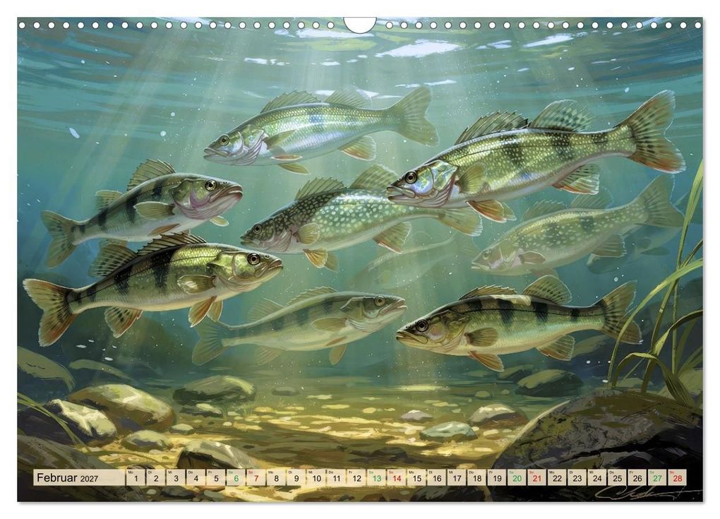 Weitere Ansicht: Barsche im See (Wandkalender 2027 DIN A3 quer), CALVENDO Monatskalender | Calvendo, Torsten Irmer