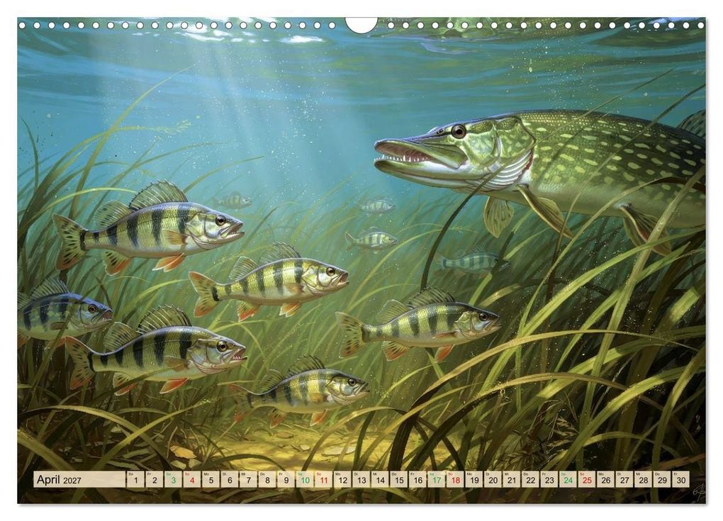 Weitere Ansicht: Barsche im See (Wandkalender 2027 DIN A3 quer), CALVENDO Monatskalender | Calvendo, Torsten Irmer