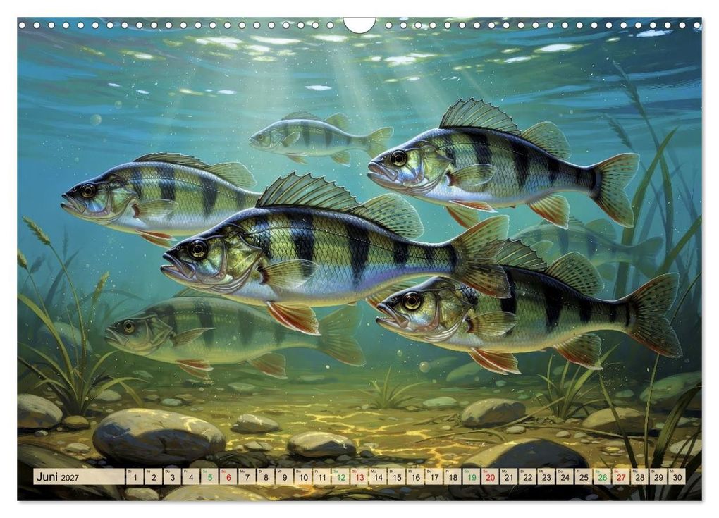 Weitere Ansicht: Barsche im See (Wandkalender 2027 DIN A3 quer), CALVENDO Monatskalender | Calvendo, Torsten Irmer