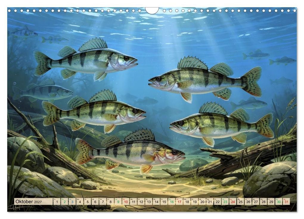 Weitere Ansicht: Barsche im See (Wandkalender 2027 DIN A3 quer), CALVENDO Monatskalender | Calvendo, Torsten Irmer