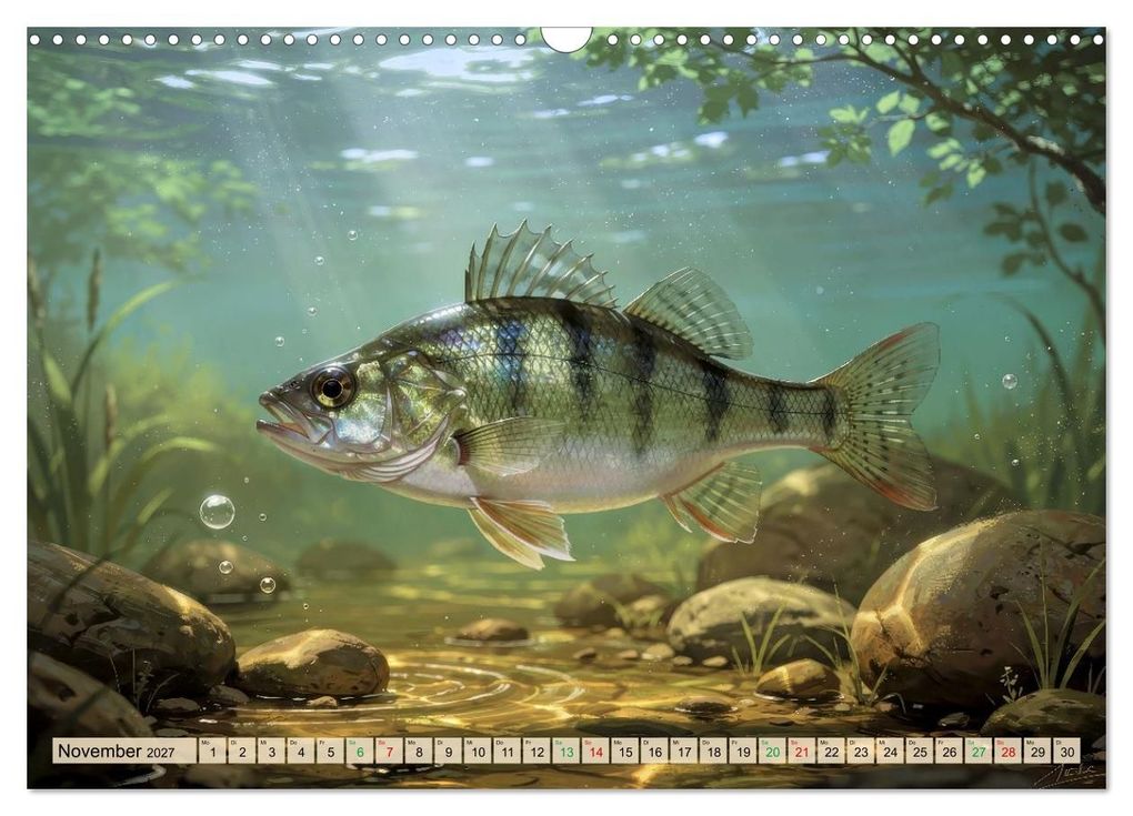 Weitere Ansicht: Barsche im See (Wandkalender 2027 DIN A3 quer), CALVENDO Monatskalender | Calvendo, Torsten Irmer