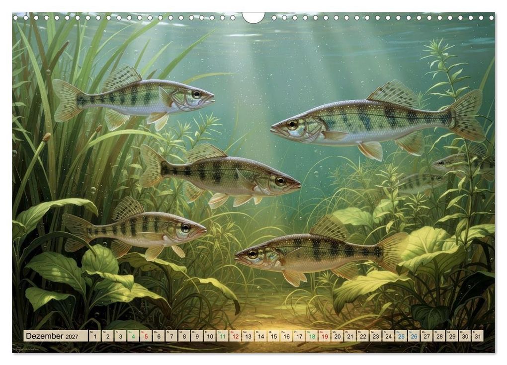 Weitere Ansicht: Barsche im See (Wandkalender 2027 DIN A3 quer), CALVENDO Monatskalender | Calvendo, Torsten Irmer