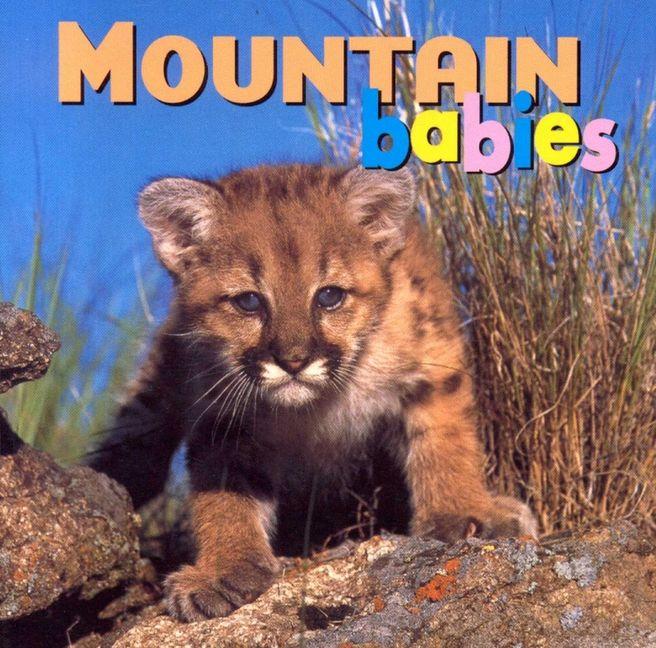 Produktbild: Mountain Babies | Kristen McCurry