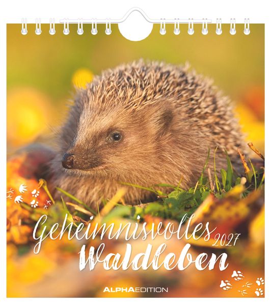 Produktbild: Geheimnisvolles Waldleben 2027 | Neumann Verlage GmbH & Co. KG