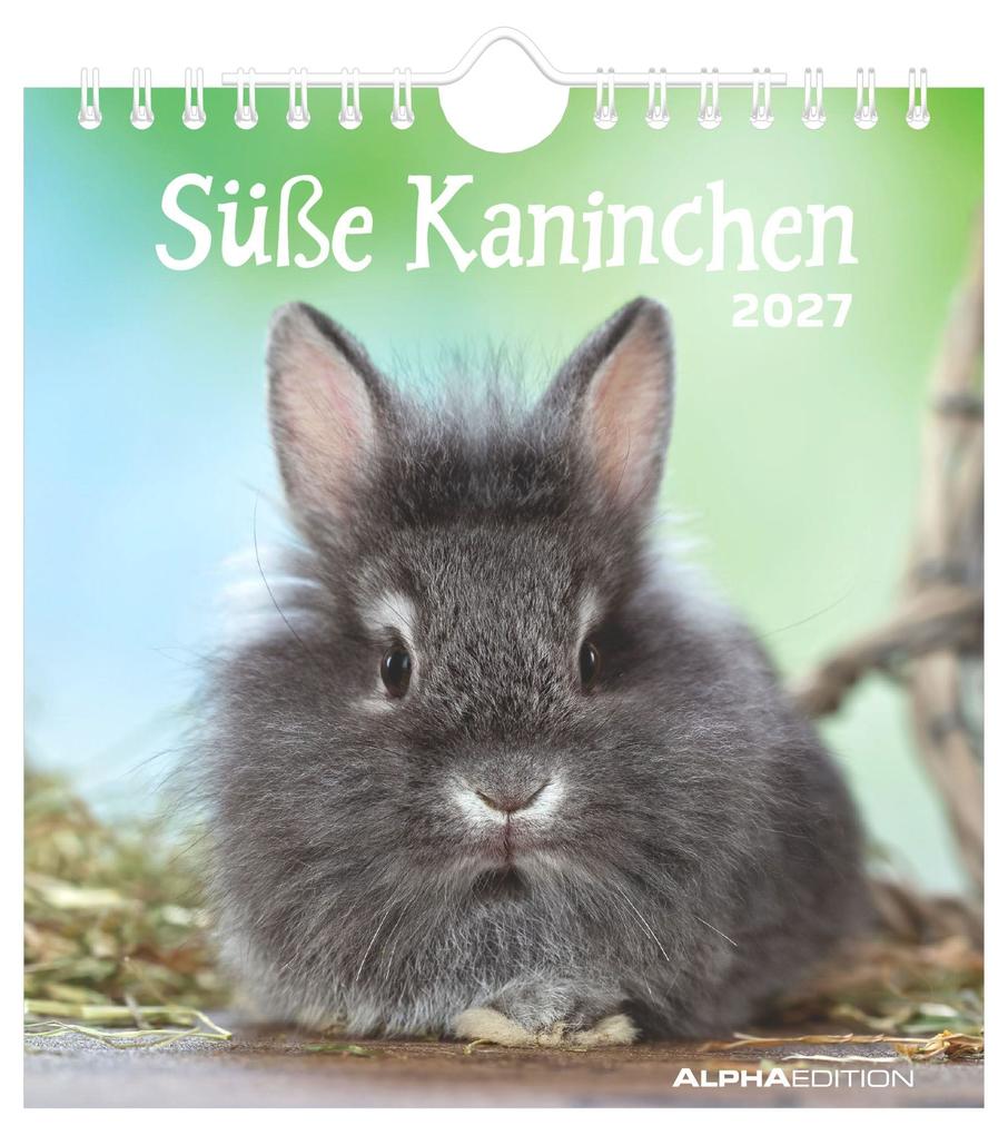 Produktbild: Süße Kaninchen 2027 | Neumann Verlage GmbH & Co. KG