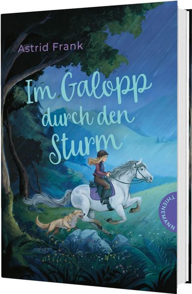 Produktbild: Im Galopp durch den Sturm | Astrid Frank