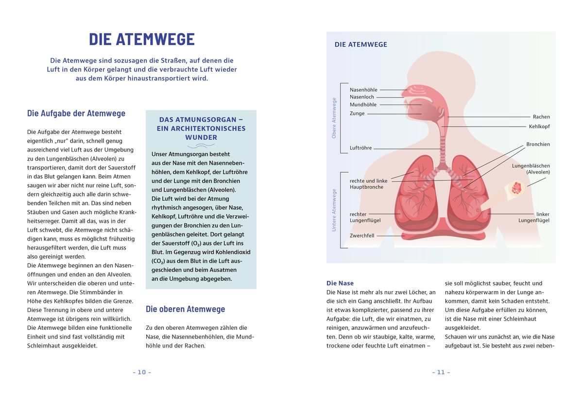 Weitere Ansicht: Besser leben mit Asthma und COPD | Thomas Hausen